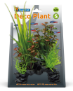 SuperFish Deco Plant Rotala S