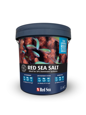 Red Sea Zout