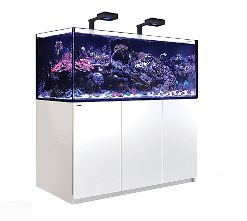 Red Sea Reefer G2+ Deluxe XXL 625 Wit RL160
