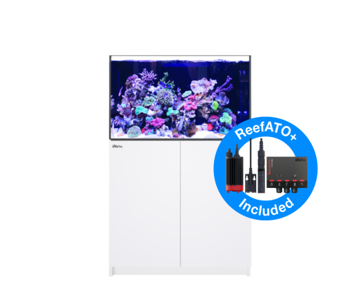 Red Sea Reefer G2+ 300XL Wit