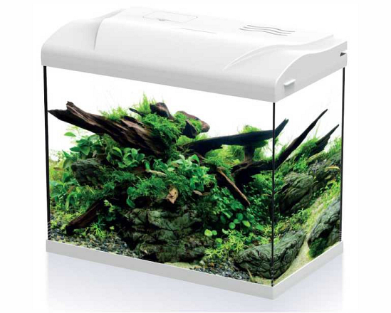 HS Aqua aquarium Platy 30 LED Wit